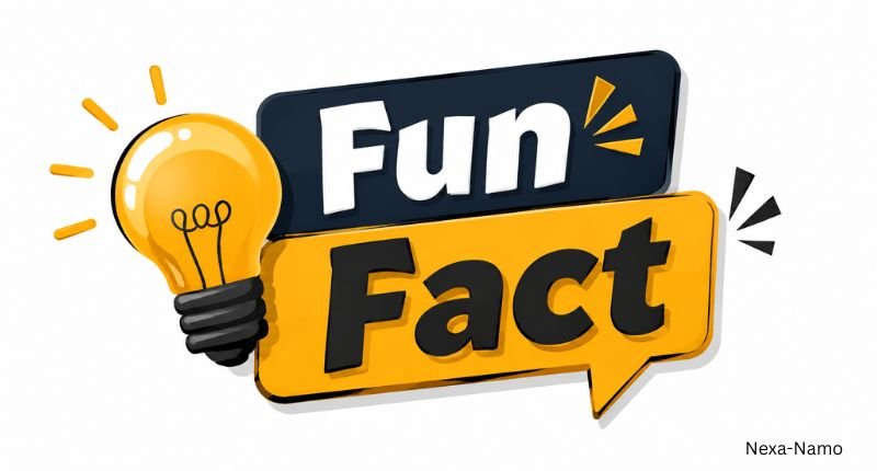 Fun Fact heading graphic with a bright lightbulb icon and clean modern design on a white background.