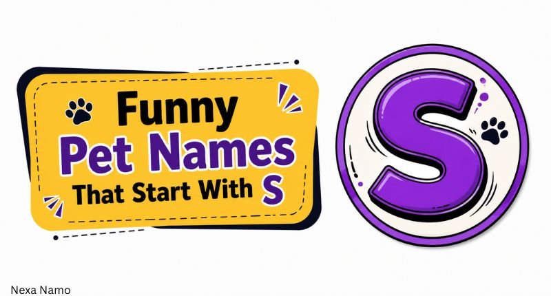 Funny pet names that start with S in a playful yellow and purple graphic featuring a stylish letter S