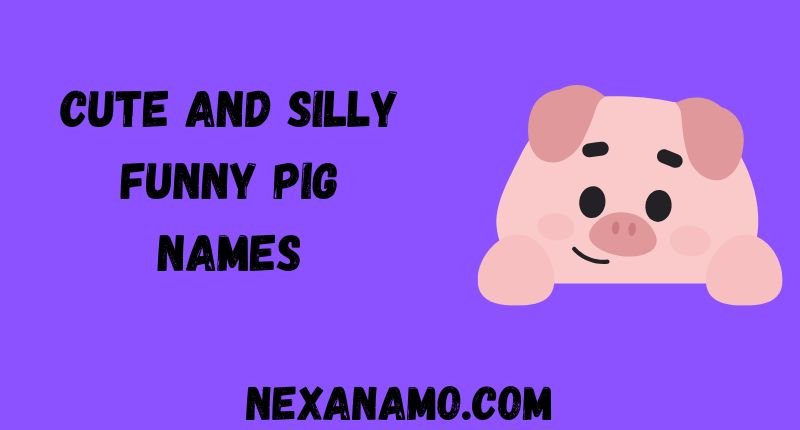 Cute and Silly Funny Pig Names