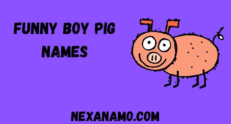 Funny Boy Pig Names