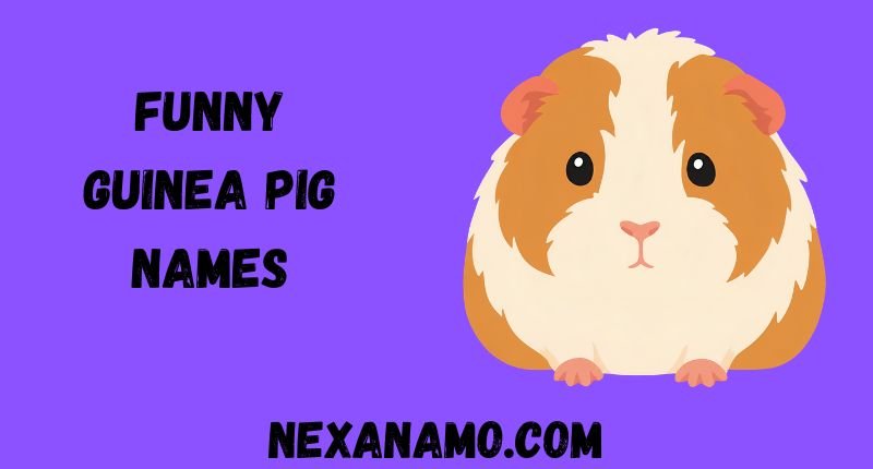 Funny Guinea Pig Names