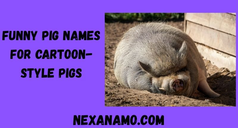 Funny Pig Names for Cartoon-Style Pigs