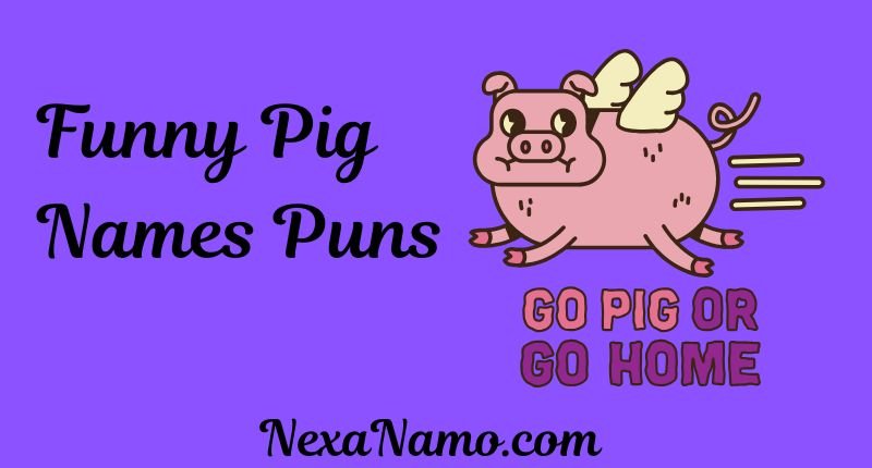 Funny Pig Names Puns