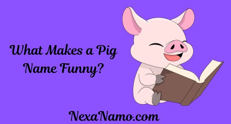 Cute cartoon pig holding an open book with text reading "What Makes a Pig Name Funny?" on a purple background.